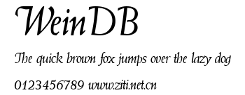 WeinDB.ttf字體轉換器圖片
