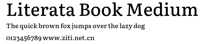 Literata Book Medium.otf字體轉換器圖片