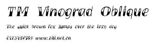 TM Vinograd Oblique.ttf字體轉換器圖片