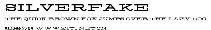 Silverfake.otf