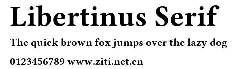 Libertinus Serif.otf