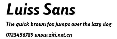 Luiss Sans.otf字體轉換器圖片