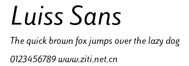 Luiss Sans.otf字體轉換器圖片