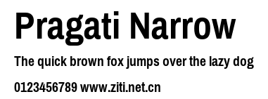 Pragati Narrow.otf字體轉換器圖片