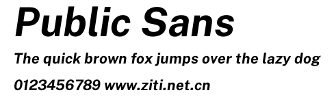 Public Sans.otf字體轉換器圖片