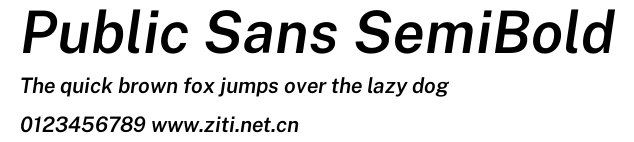 Public Sans SemiBold.otf