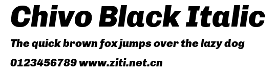 Chivo Black Italic.otf字體轉換器圖片