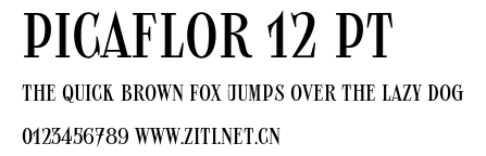 Picaflor 12 pt.otf字體轉換器圖片