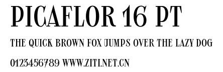 Picaflor 16 pt.otf