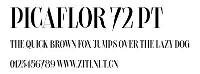 Picaflor 72 pt.otf字體轉換器圖片