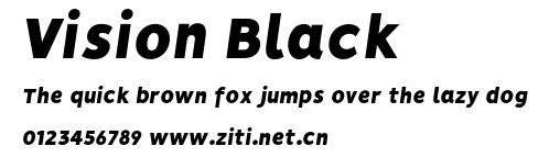 Vision Black.otf