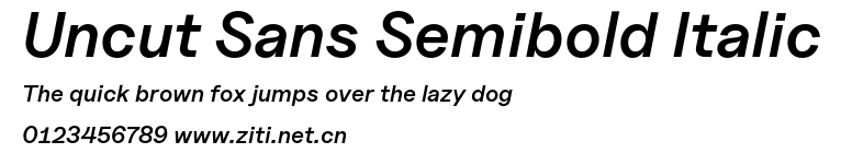 Uncut Sans Semibold Italic.otf字體轉換器圖片