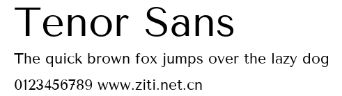 Tenor Sans.ttf