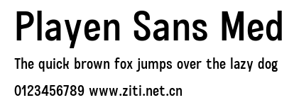 Playen Sans Med.ttf