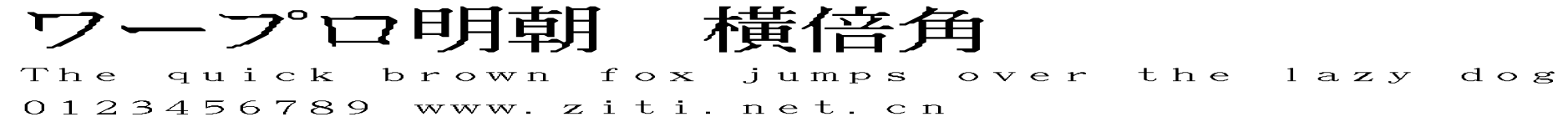 ワープロ明朝 橫倍角.otf字體轉換器圖片