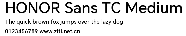 HONOR Sans TC Medium.ttf