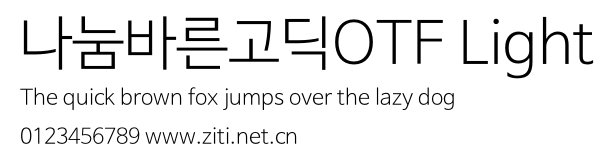 나눔바른고딕OTF Light.otf字體轉換器圖片