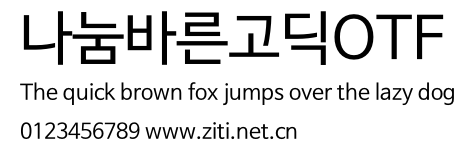 나눔바른고딕OTF.otf字體轉換器圖片