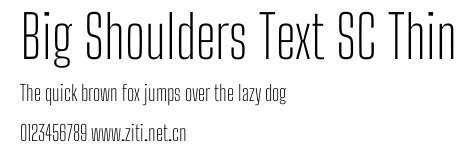 Big Shoulders Text SC Thin.ttf字體轉換器圖片