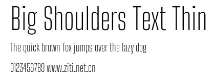 Big Shoulders Text Thin.ttf