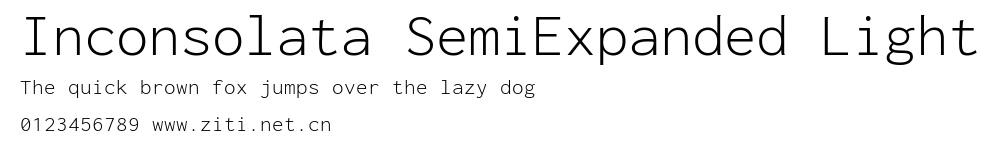 Inconsolata SemiExpanded Light.ttf