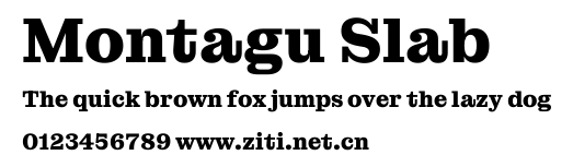 Montagu Slab.ttf