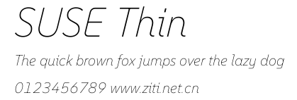 SUSE Thin.ttf