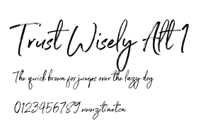 Trust Wisely Alt 1.otf