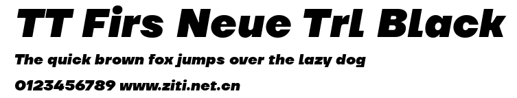 TT Firs Neue Trl Black.ttf