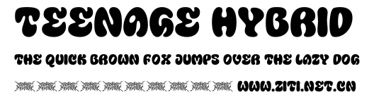 Teenage Hybrid.ttf