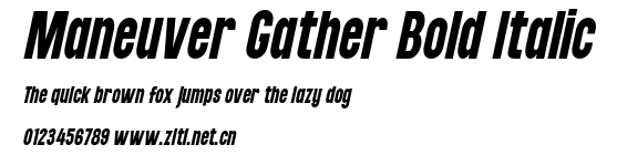 Maneuver Gather Bold Italic.ttf