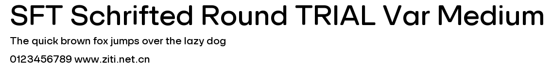 SFT Schrifted Round TRIAL Var Medium.ttf