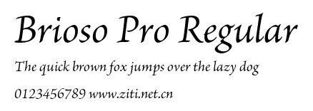Brioso Pro Regular.otf字體轉換器圖片