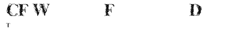 CF WireFrame Demo.ttf