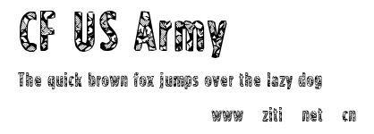CF US Army.ttf