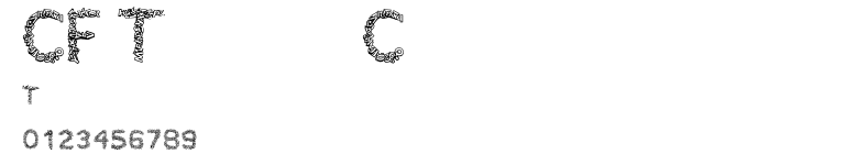 CF TypoCraft.ttf