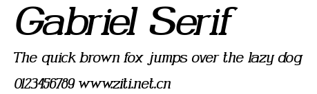 Gabriel Serif.ttf