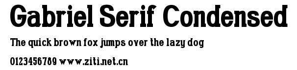 Gabriel Serif Condensed.ttf字體轉換器圖片