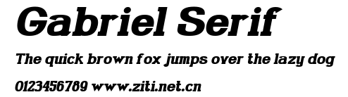 Gabriel Serif.ttf