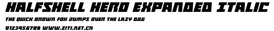 Halfshell Hero Expanded Italic.ttf字體轉換器圖片