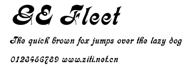 GE Fleet.ttf字體轉換器圖片