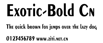 Exotic-Bold Cn.ttf字體轉換器圖片