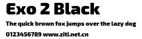 Exo 2 Black.ttf