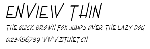Enview Thin.ttf