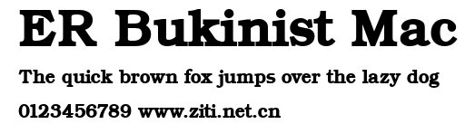 ER Bukinist Mac.ttf字體轉換器圖片