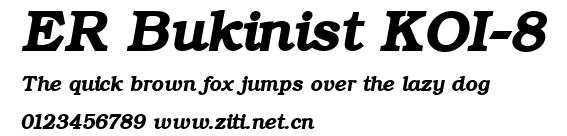 ER Bukinist KOI-8.ttf