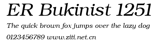 ER Bukinist 1251.ttf