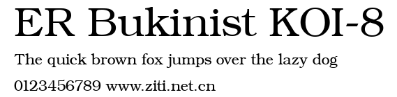 ER Bukinist KOI-8.ttf
