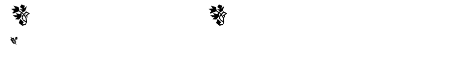 DamoselDingbats.otf