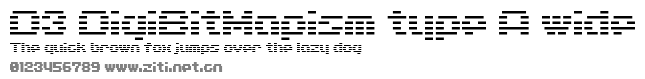 D3 DigiBitMapism type A wide.ttf